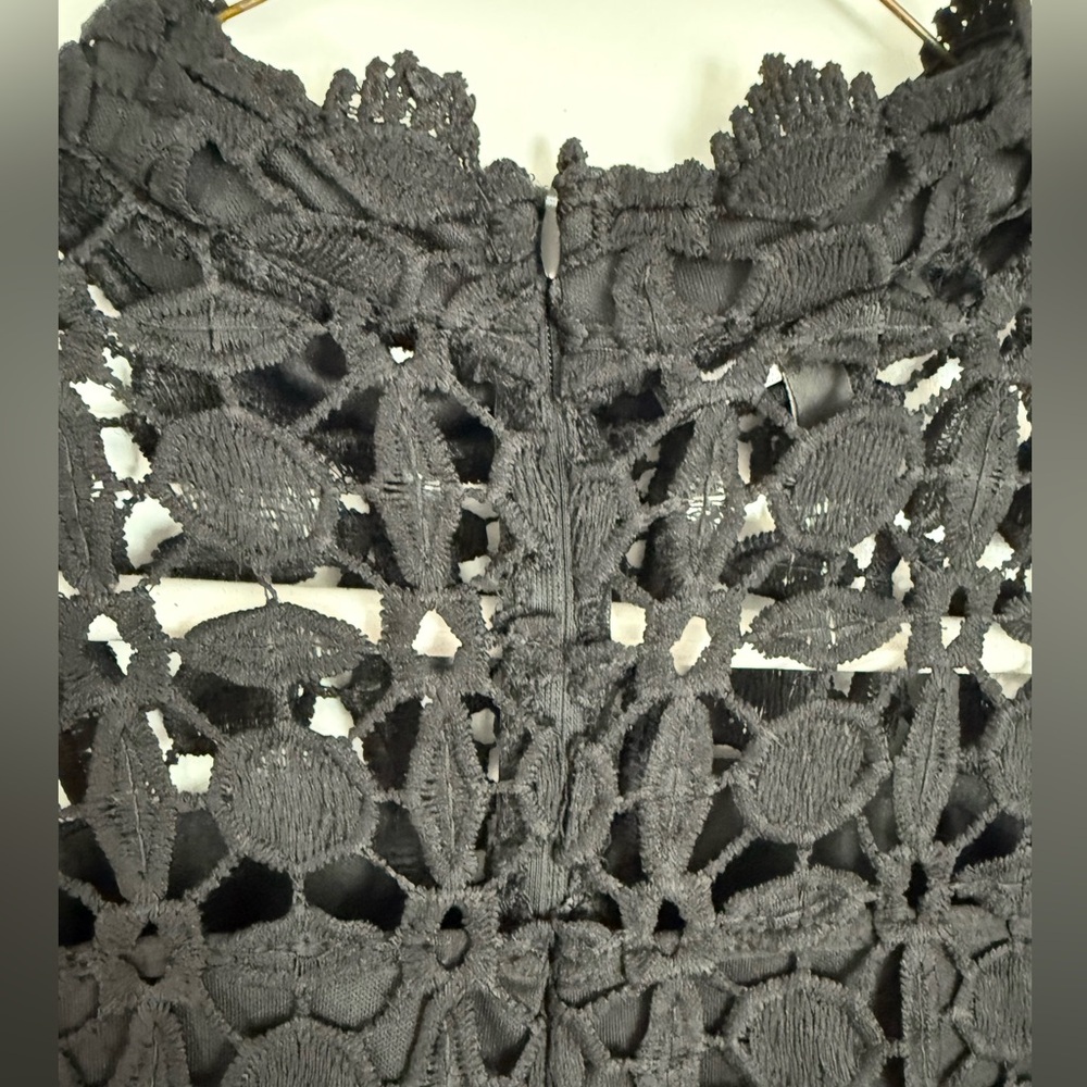 Black Lace Long Sleeve Dress - Picture 8 of 8